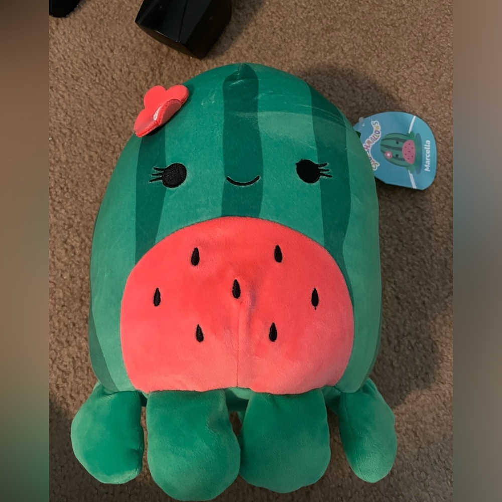 Squishmallow Marcella 🍉🍉🐙🐙